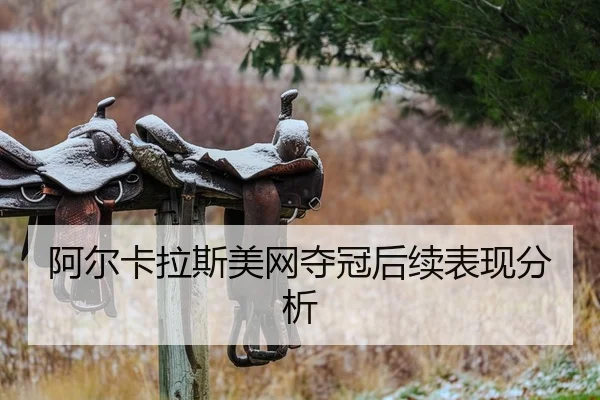 阿尔卡拉斯美网夺冠后续表现分析
